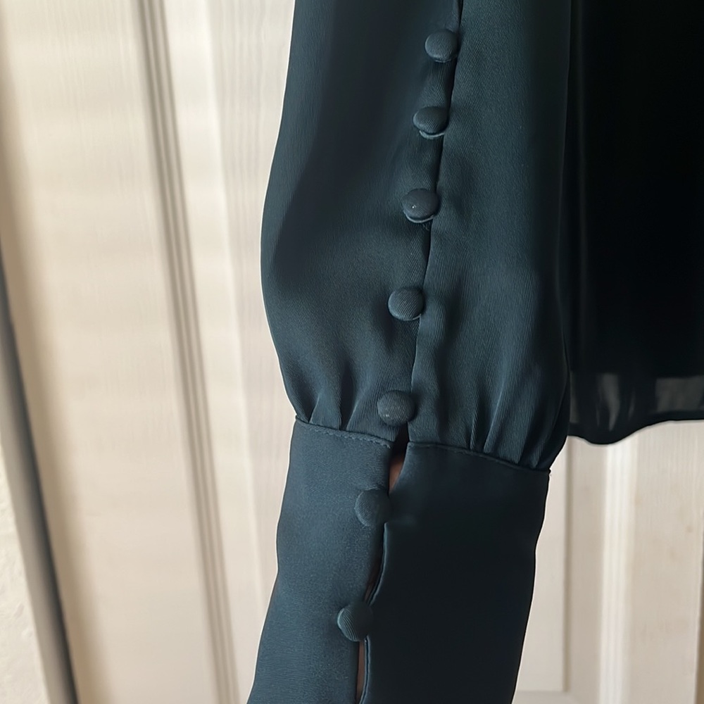 Express Blouse - Picture 3 of 6